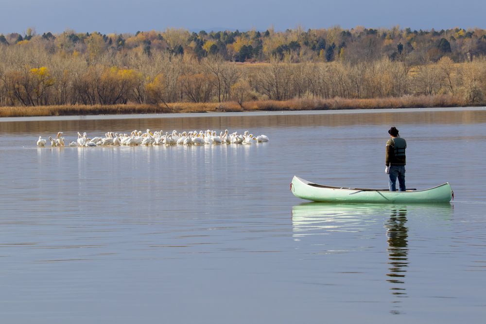 Kayaker on Cherry Creek State Park's water