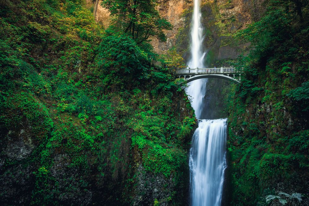 View of Columbia River Gorge