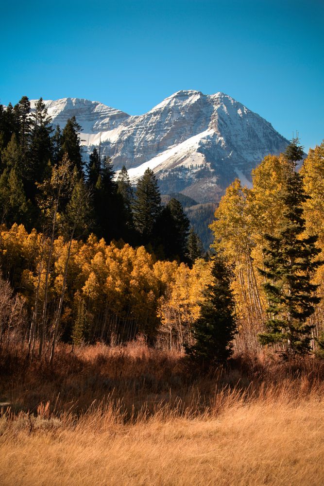 Scenic view of Mount Timpanogos Wilderness Area