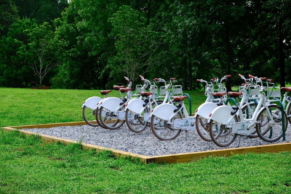Bicycles at Big Creek Greenway