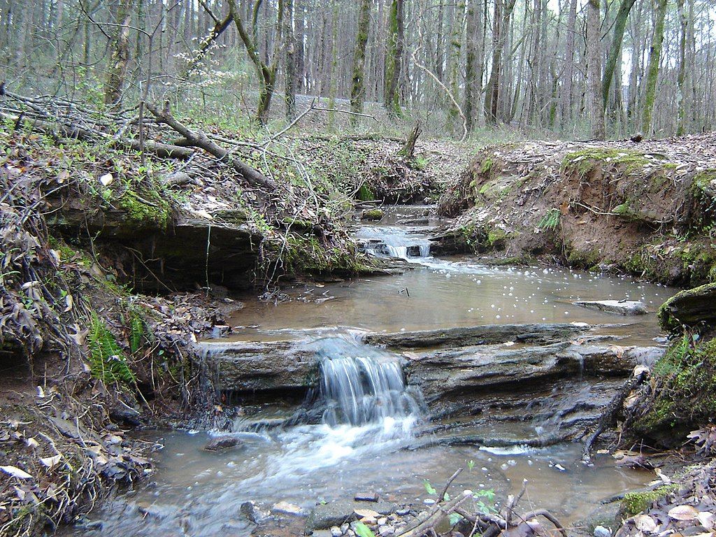 Small stream at Webb Bridge Park