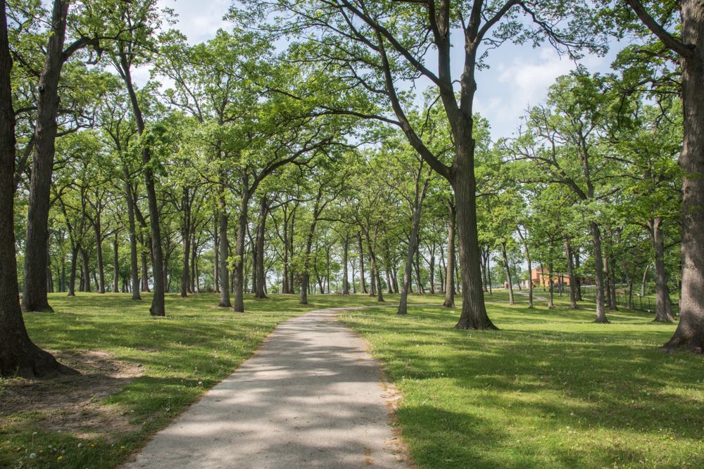 Trail at Phillips Park