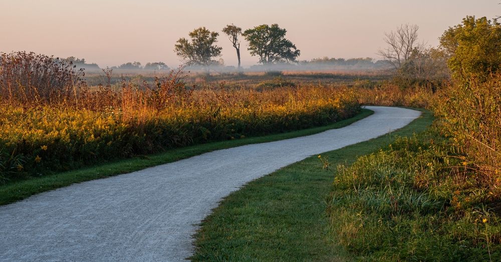 Trail at Springbrook Prairie Forest Preserve