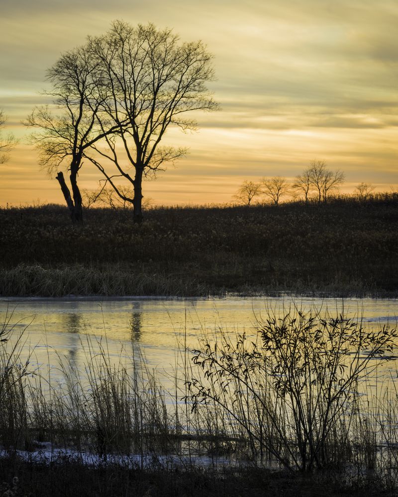 The waters of Springbrook Prairie Forest Preserve