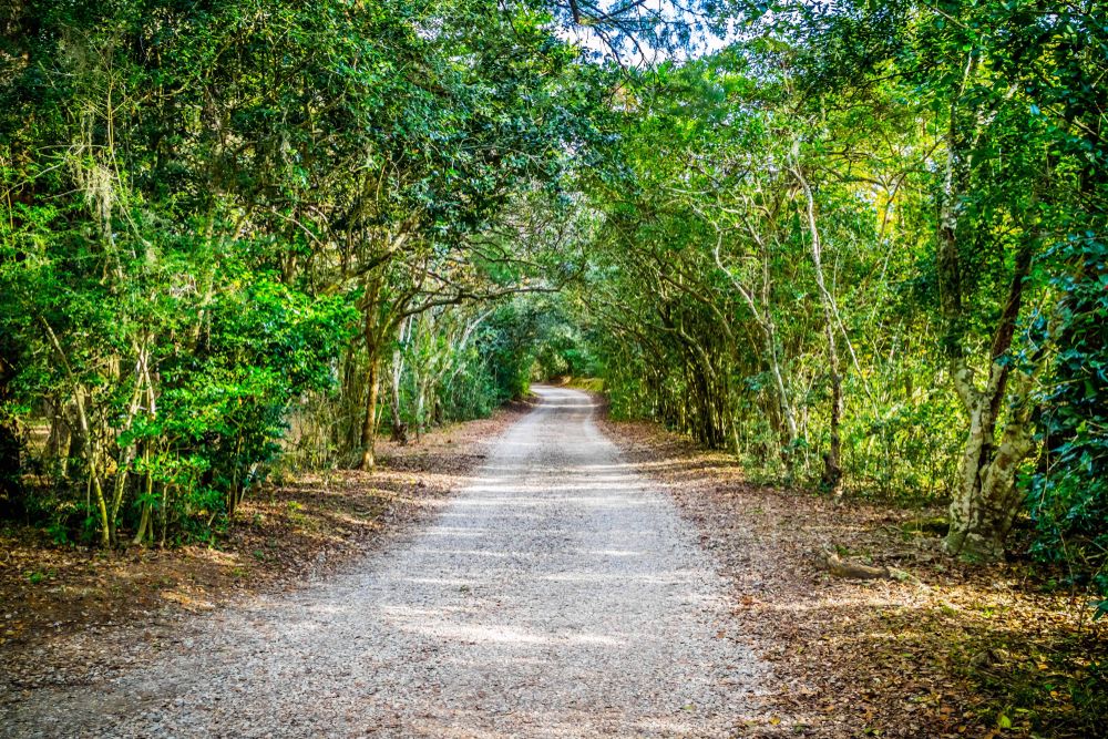 Trail with foliage at Jungle Gardens