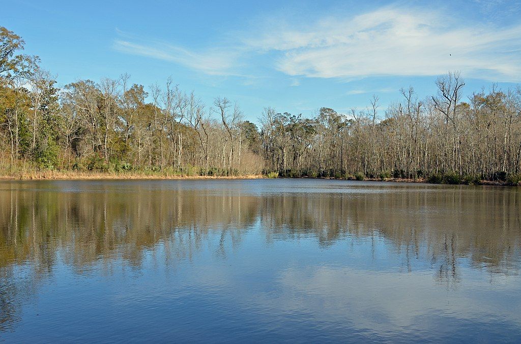 The waters of Palmetto Island State Park