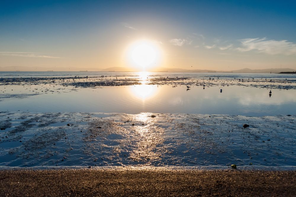 Sunset at Crown Memorial State Beach