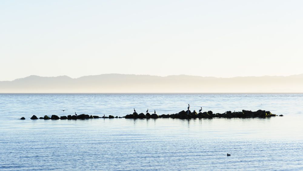 Waters of Crown Memorial State Beach