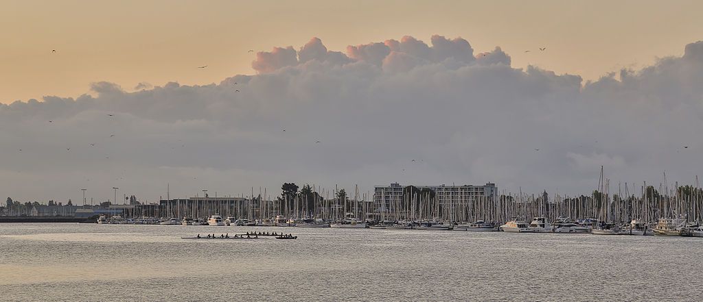 Waters of alameda marina