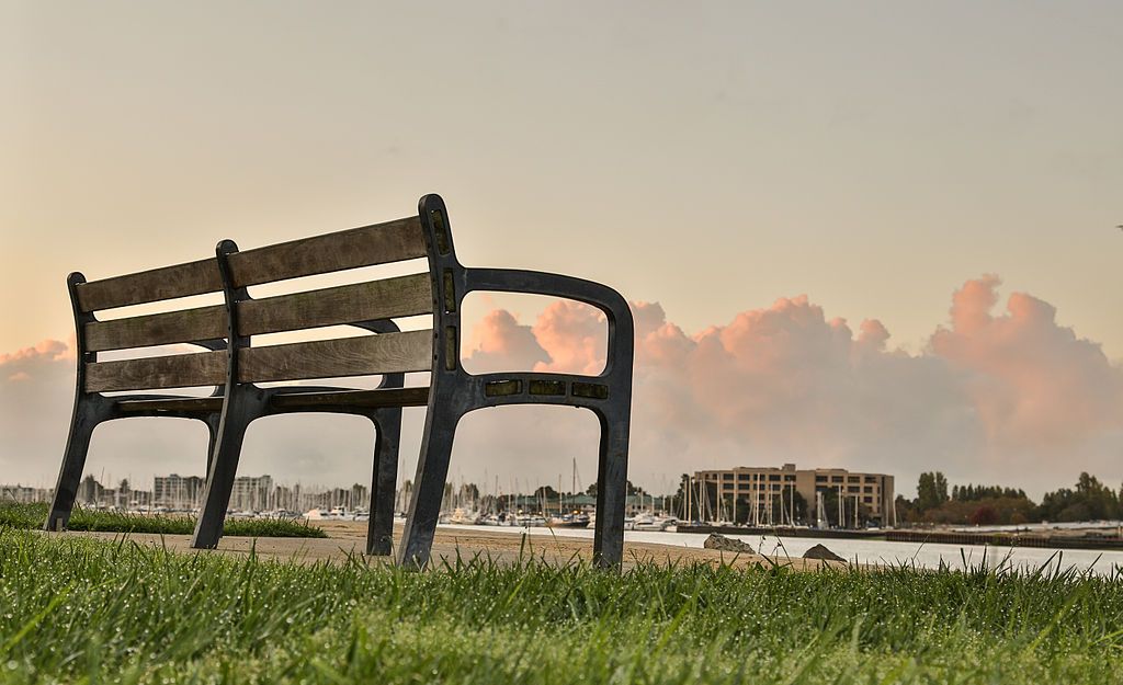 A wooden bench near alameda marina