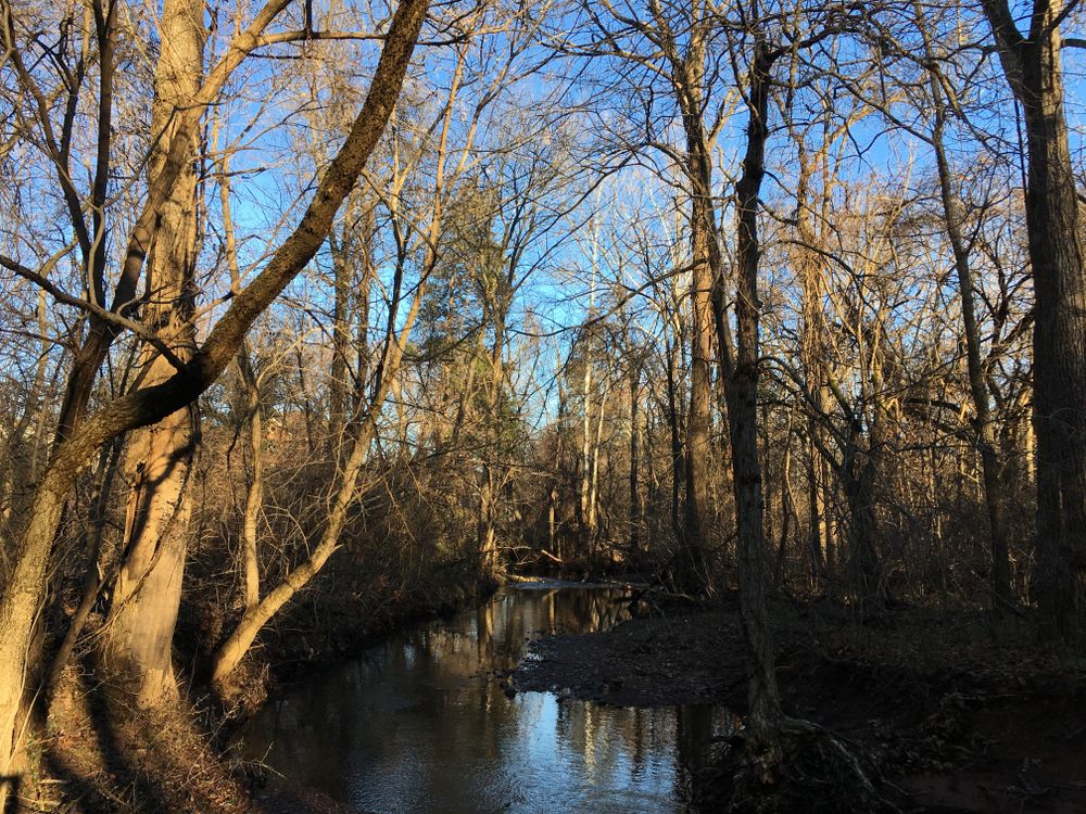 View of Ashburn Park's Trails