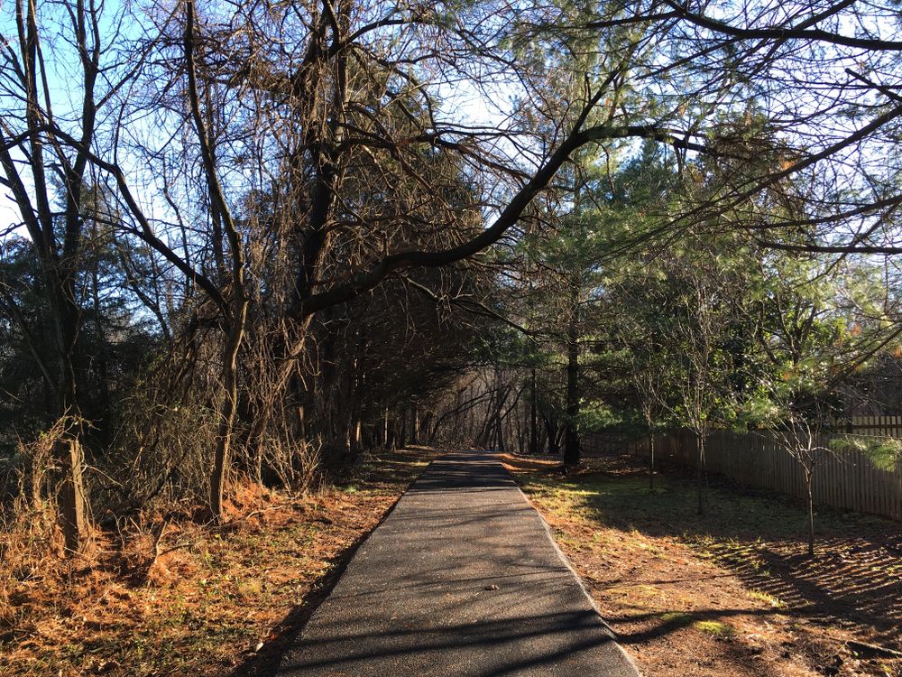 View of Ashburn Park's Trails