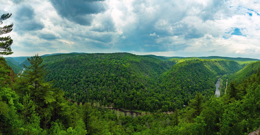 View of Creek Gorge