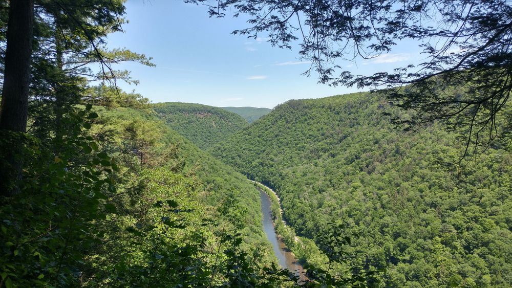 View of Pine Creek Gorge
