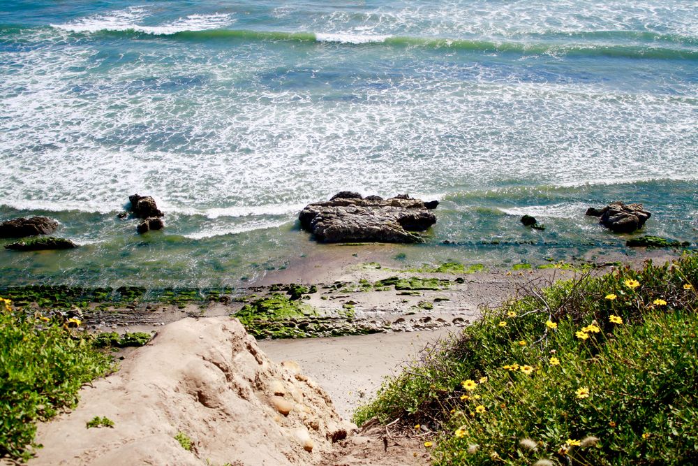 View of Carpinteria Bluffs Nature Preserve