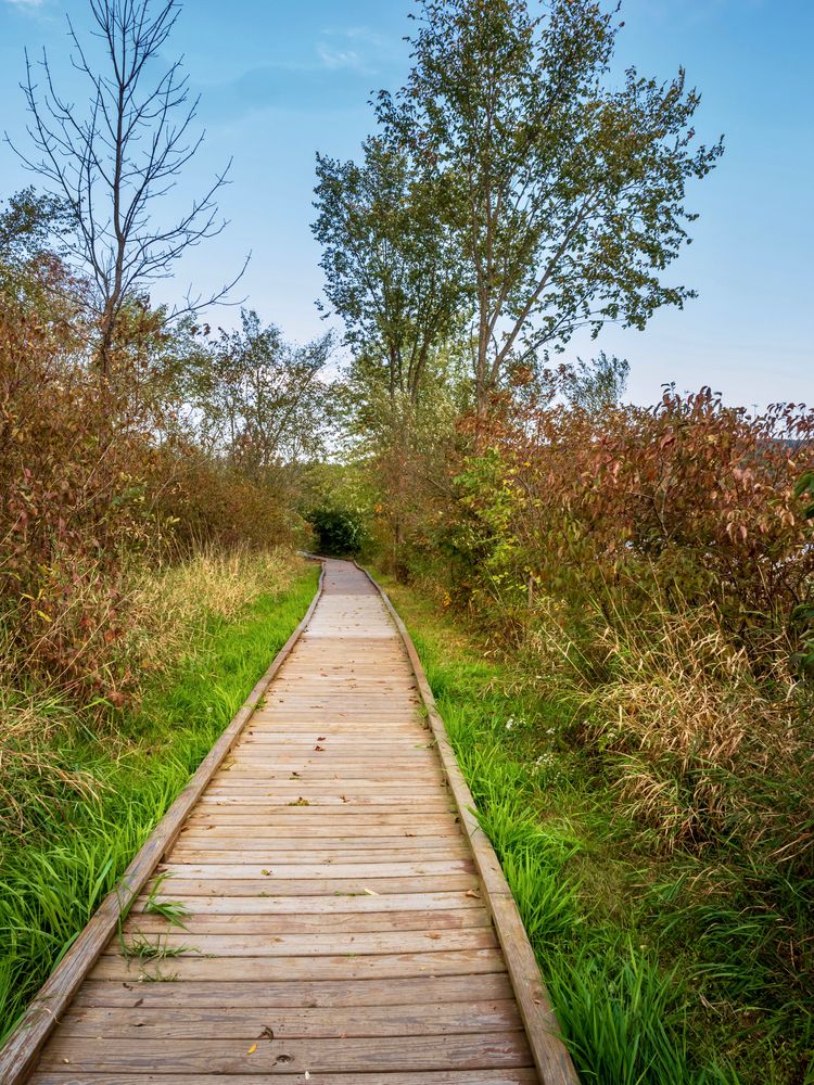A wooden footpath at Canoe Creek State Park