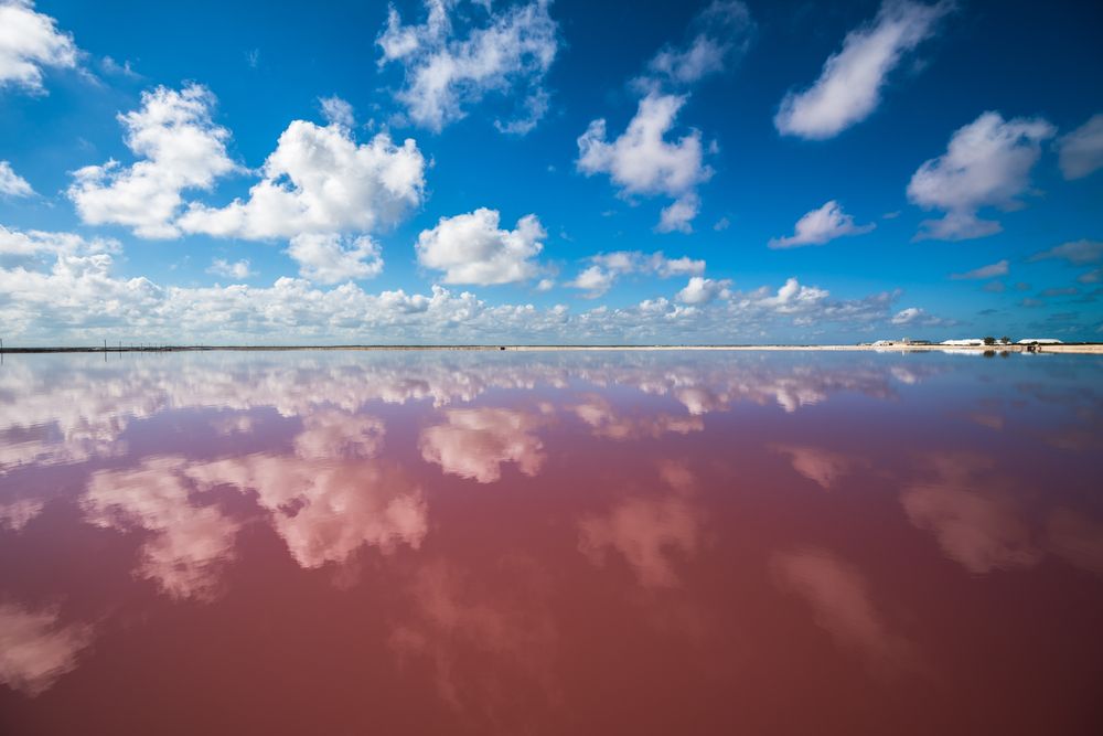 View of Pink Lakes of Las Coloradas