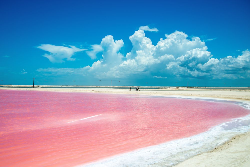 View of Pink Lakes of Las Coloradas