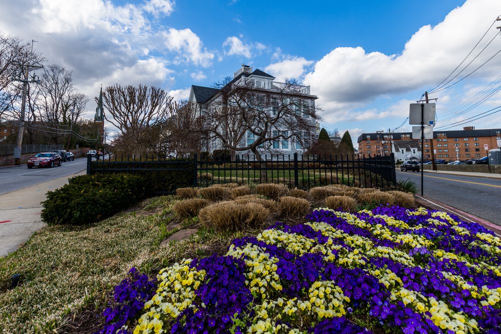 Beautiful flowerbed along Annapolis Historic District