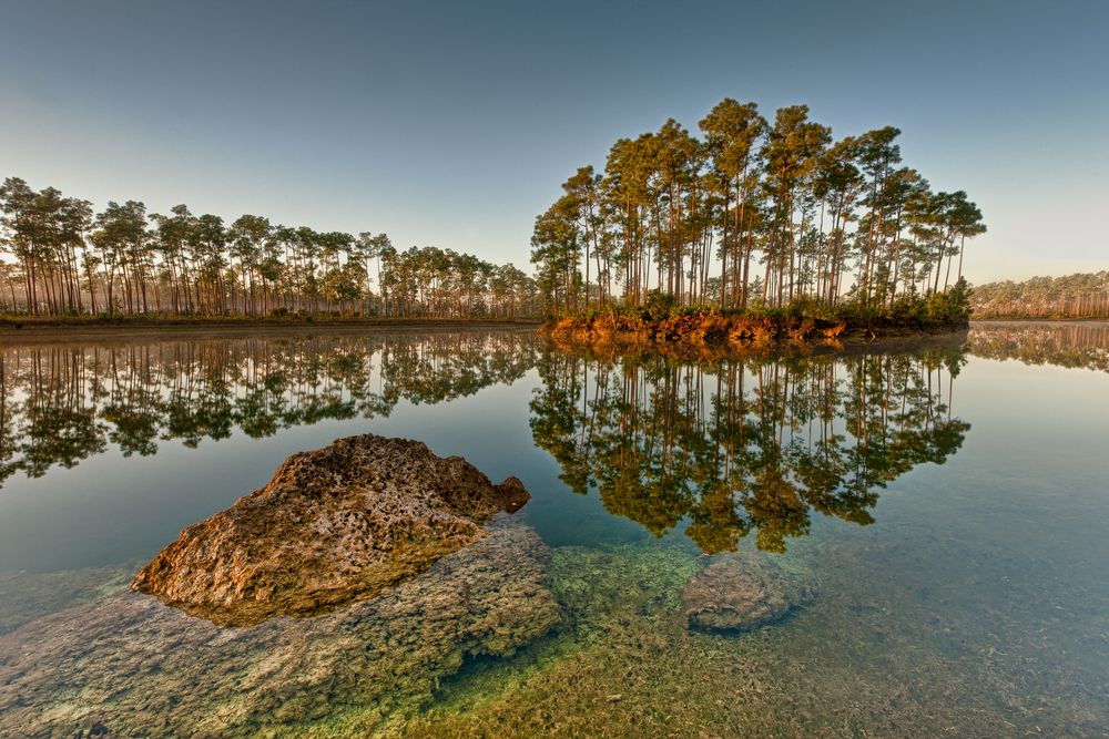 View of Everglades National Park