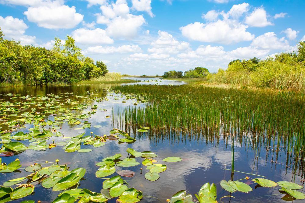 The waters of Everglades National Park