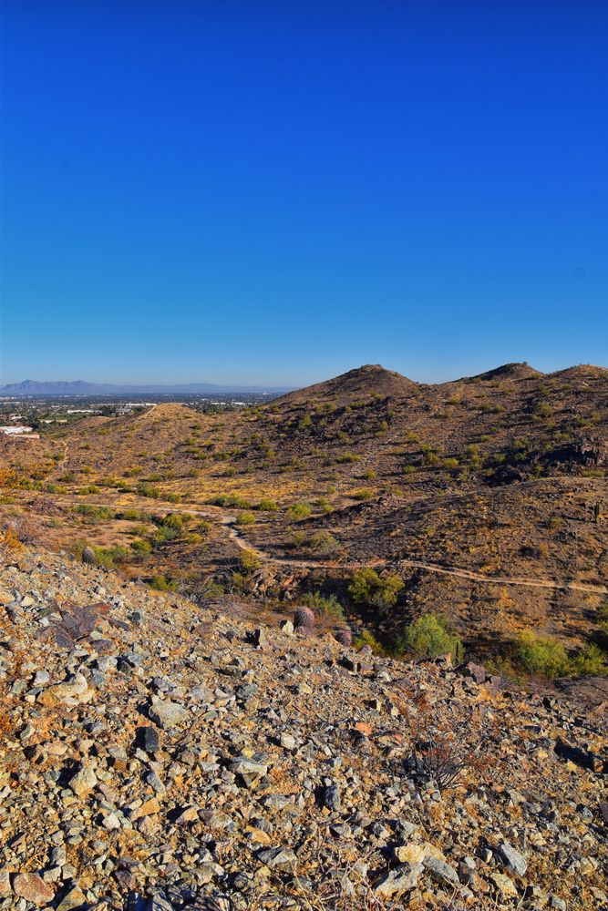Landscape of Pima Canyon Trail