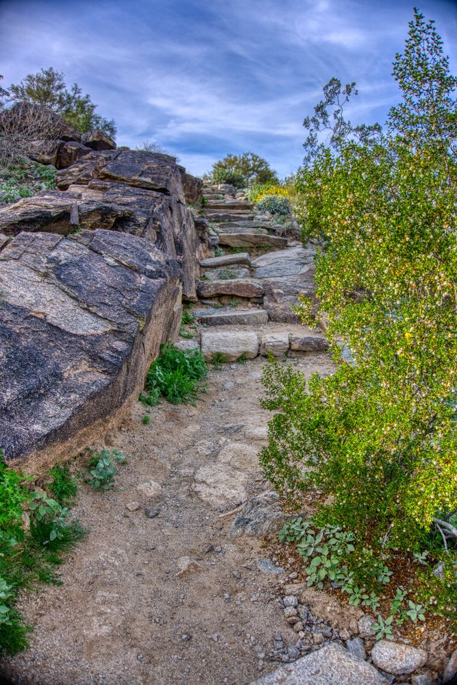 Trail at South Mountain Park and Preserve