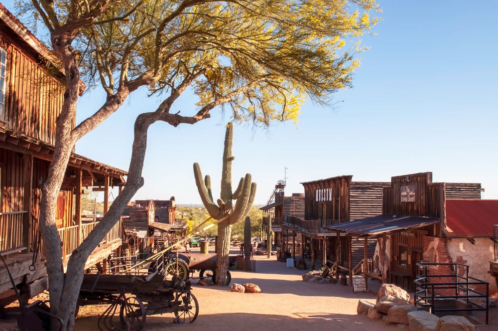 A large cactus in the middle of Goldfield Ghost Town