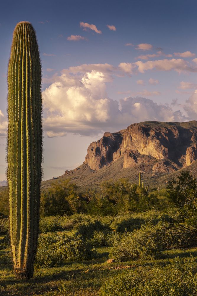 View of a mountain at Silly Mountain Park