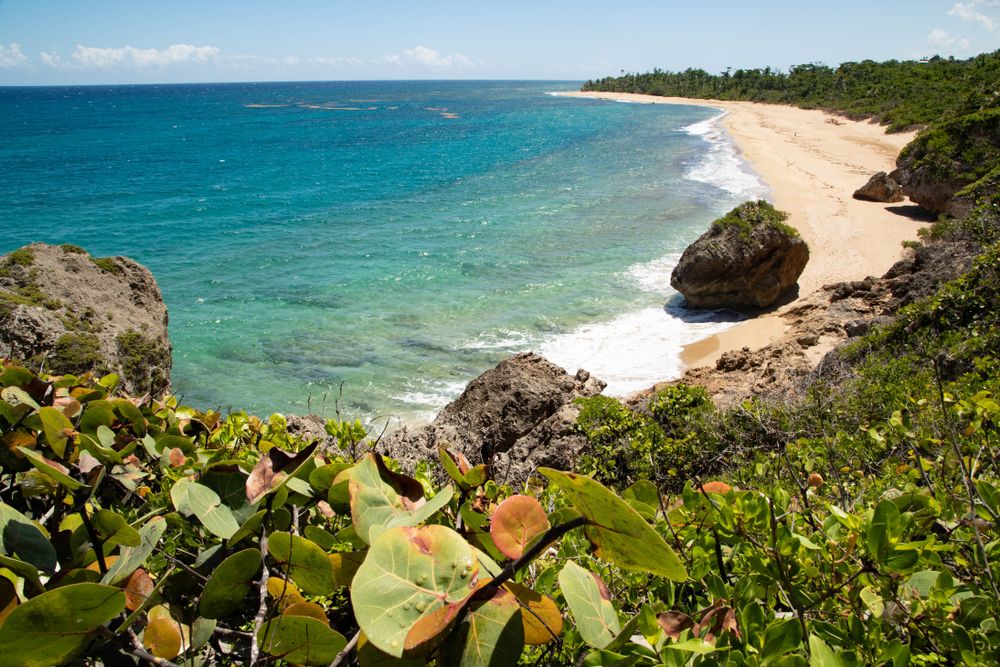 Scenic view of Survival Beach