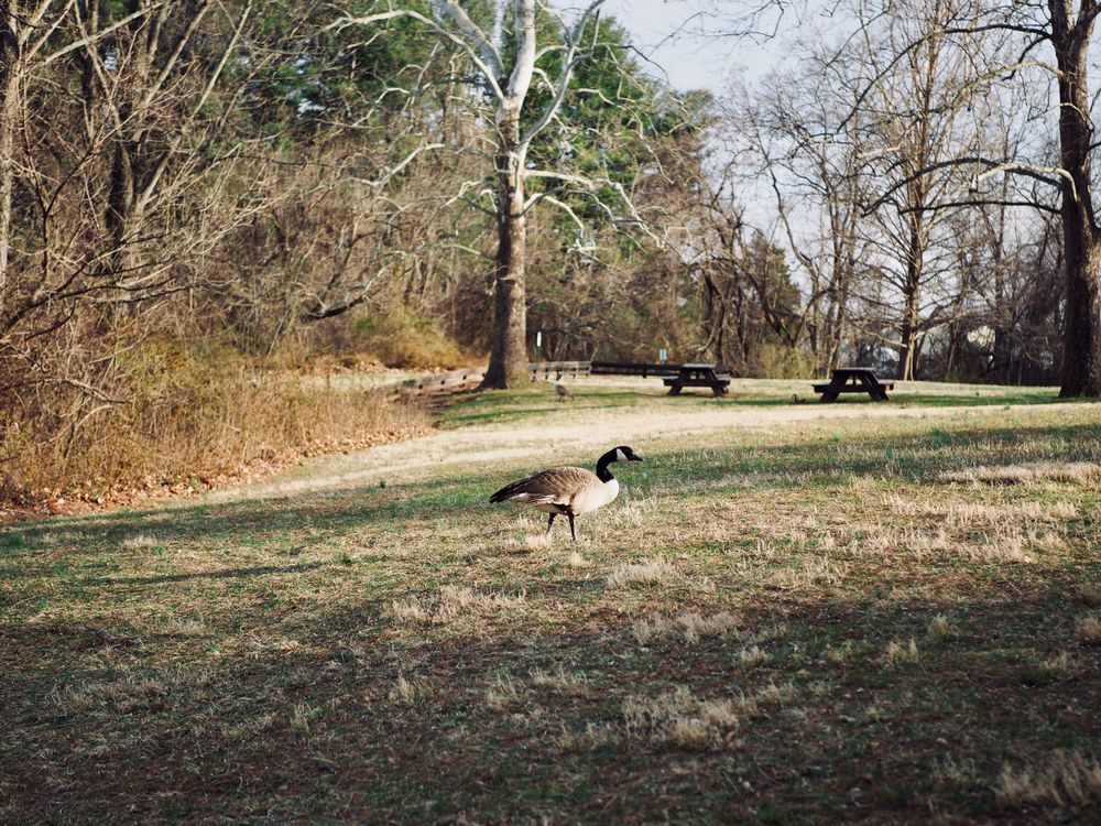View of Olde Izaak Walton Park