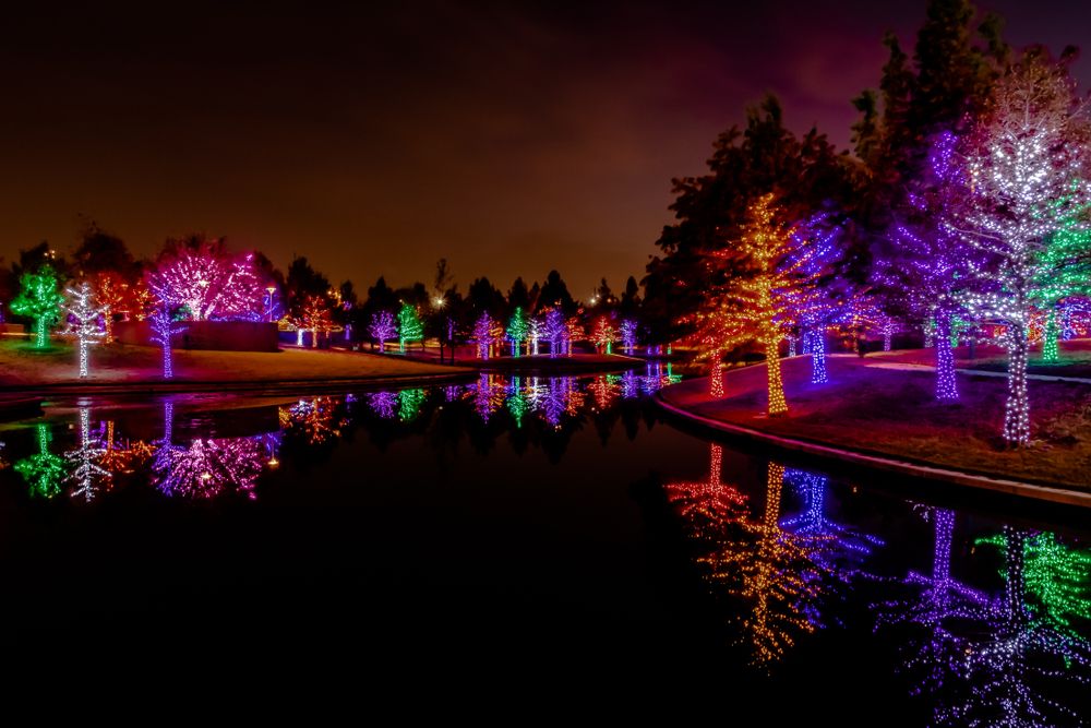 Trees decorated with Christmas lights at Vitruvian Park