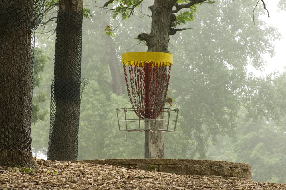 Disc golf hole at Alimagnet Park