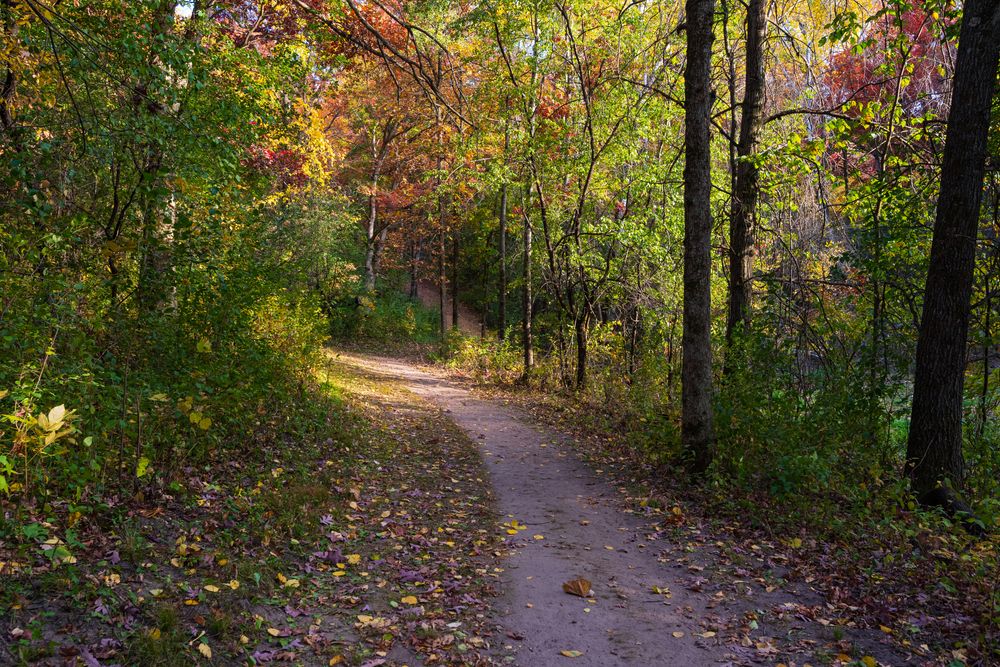 Trail at Lebanon Hills Regional Park