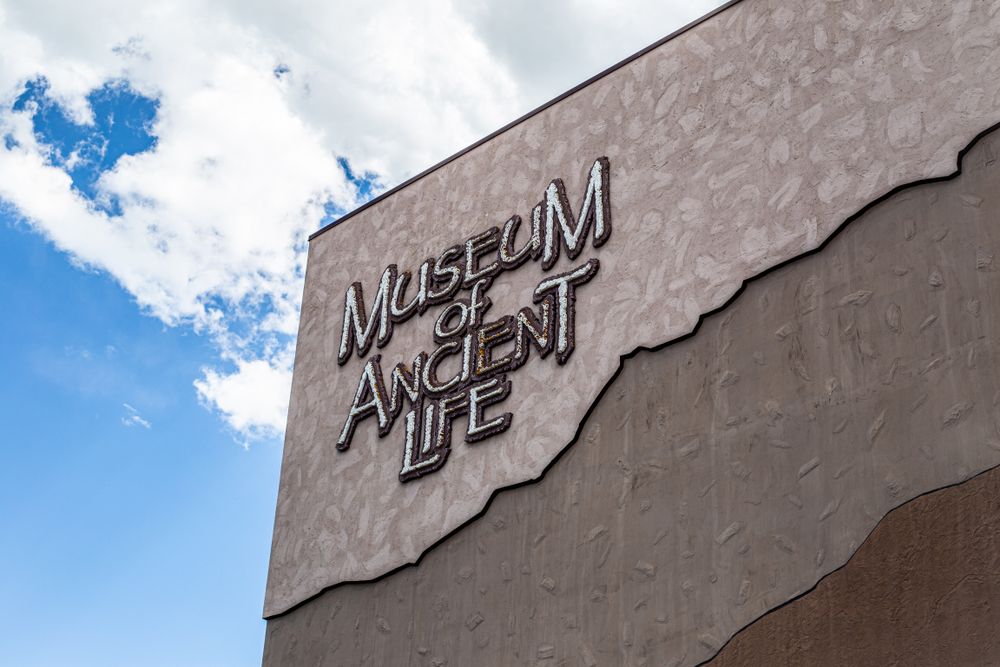Sign in  Museum of Ancient Life