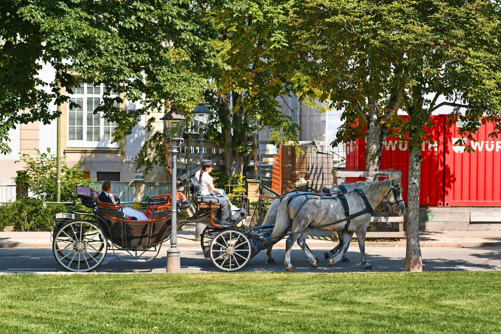 People riding a horse carriage around town