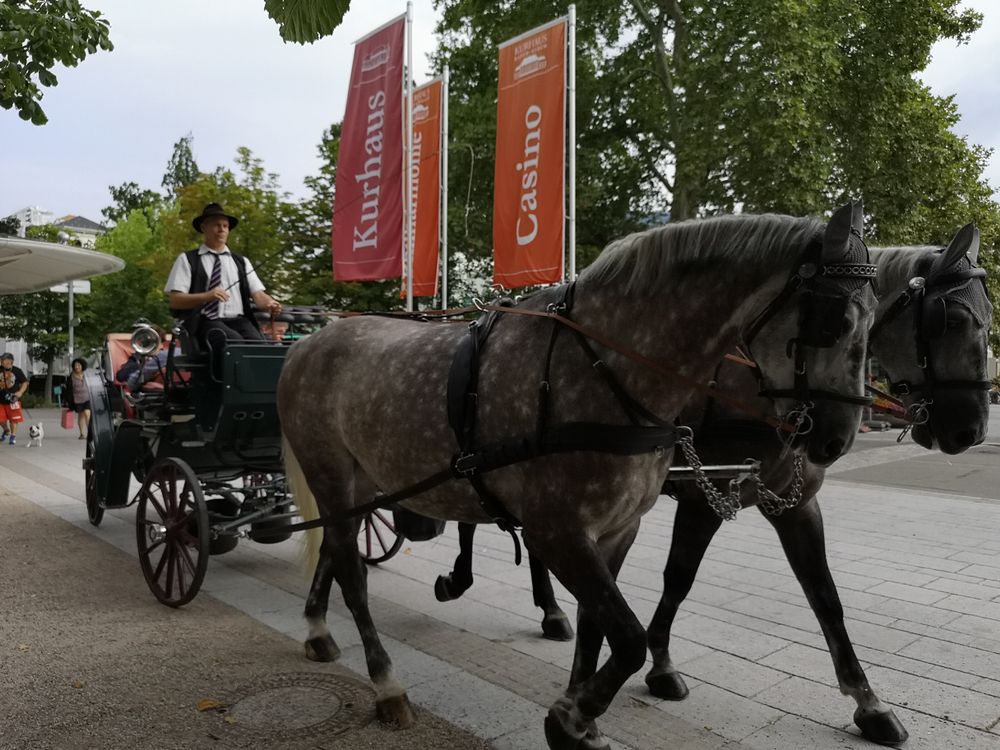 Horse carriage driver at Baden-Baden