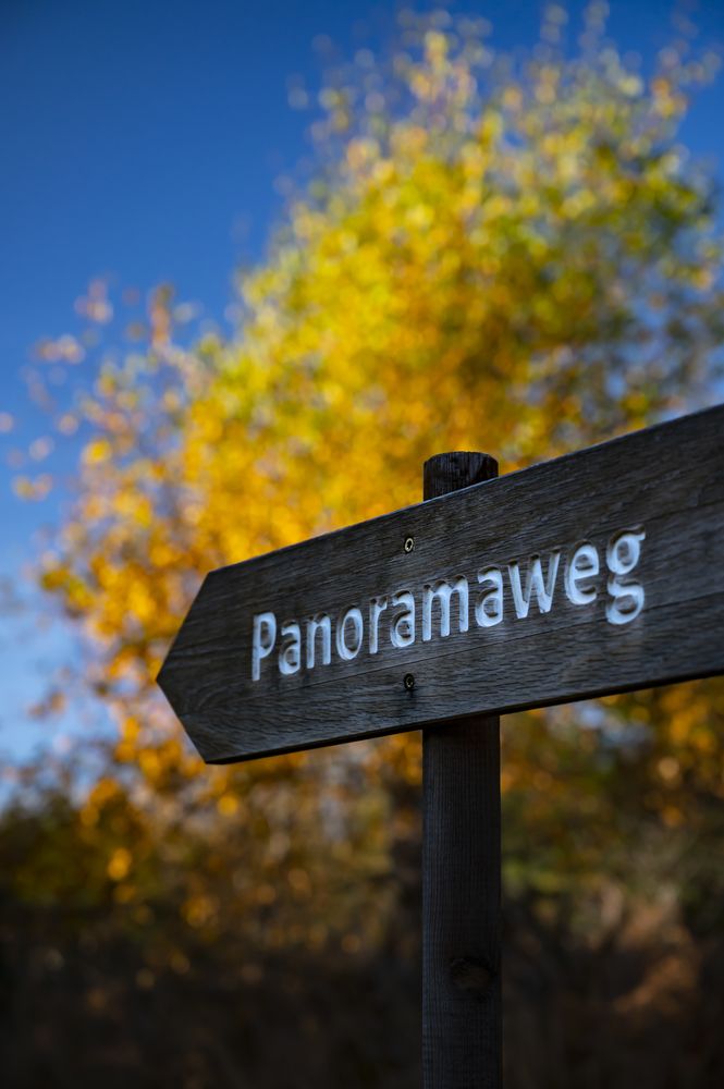 Arrow sign of Panorama Trail