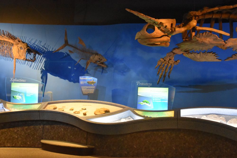 Exhibit in the McWane Science Center