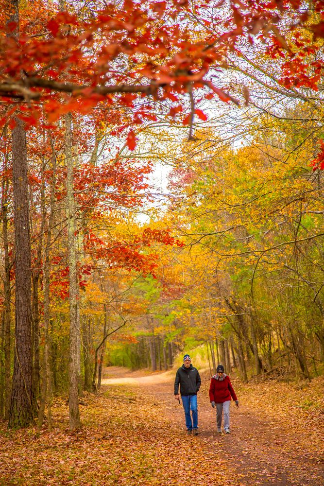 Fall scene at Red Mountain Park