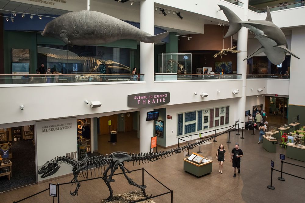 Interior of Natural History Museum