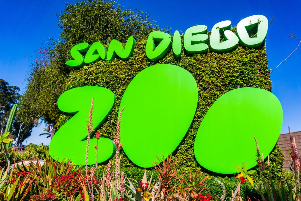 Vibrant name sign of San Diego Zoo