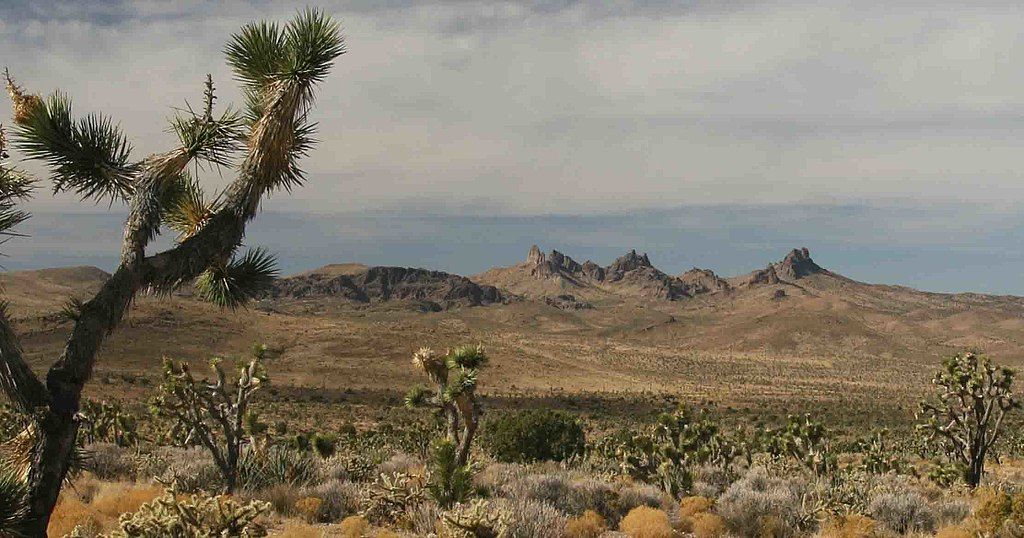 Landscape of Castle Mountains National Monument