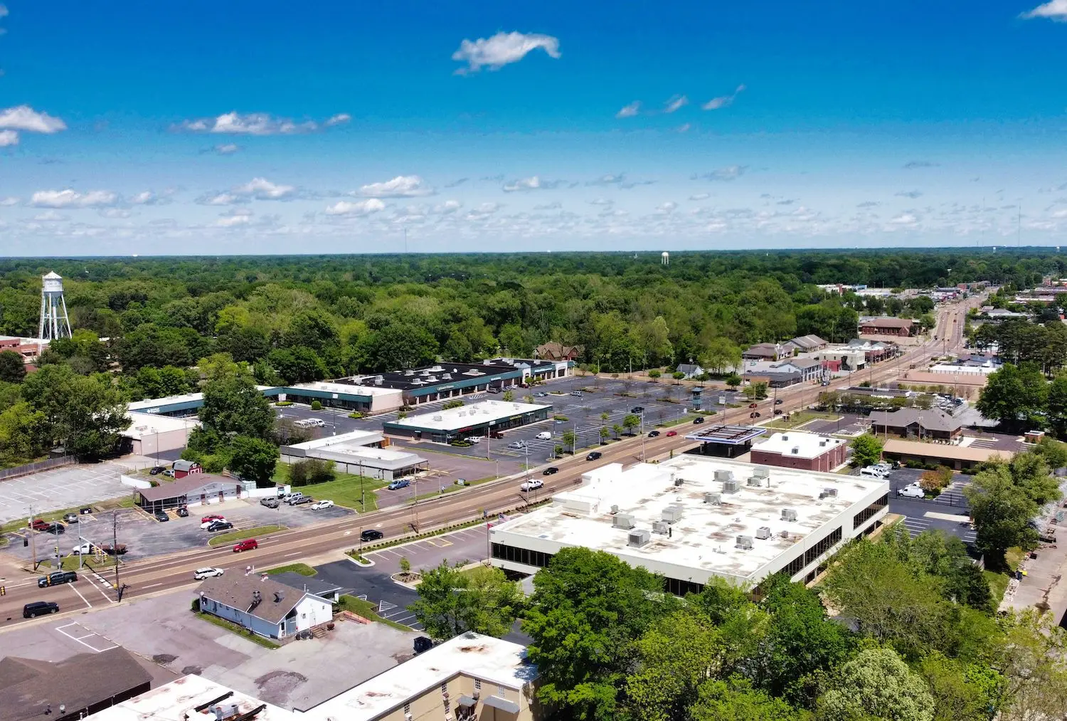 15 Best Things to Do in Bartlett, TN