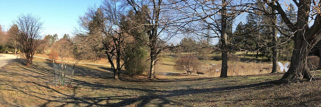 Trees and open space at Leila Arboretum