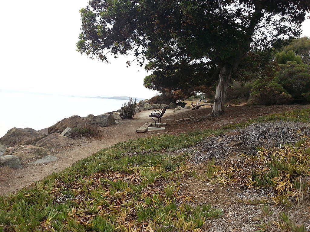 A wooden bench at César E. Chávez Park