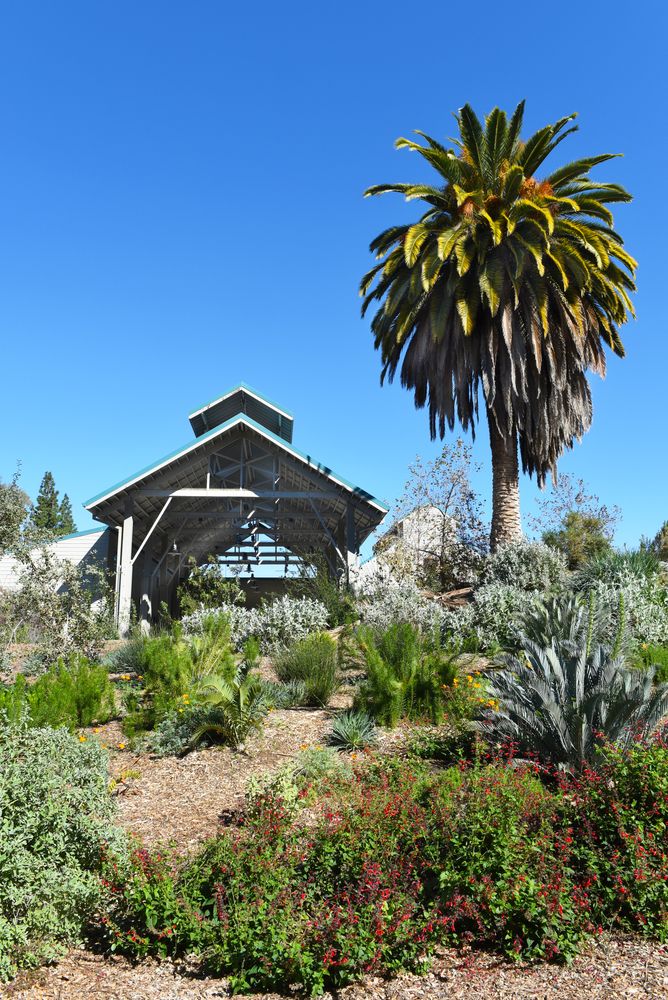 A pavilion at Fullerton Arboretum