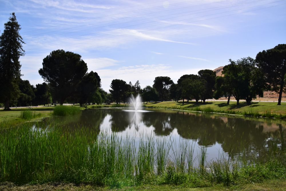 Lake fountain at Hart Memorial Park