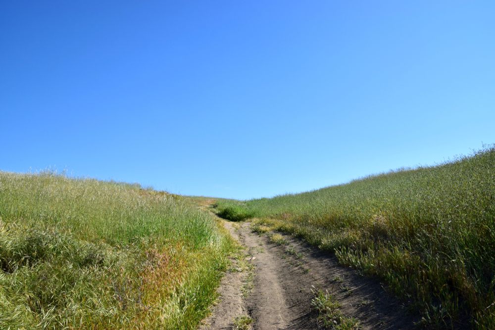 A trail at Hart Memorial Park