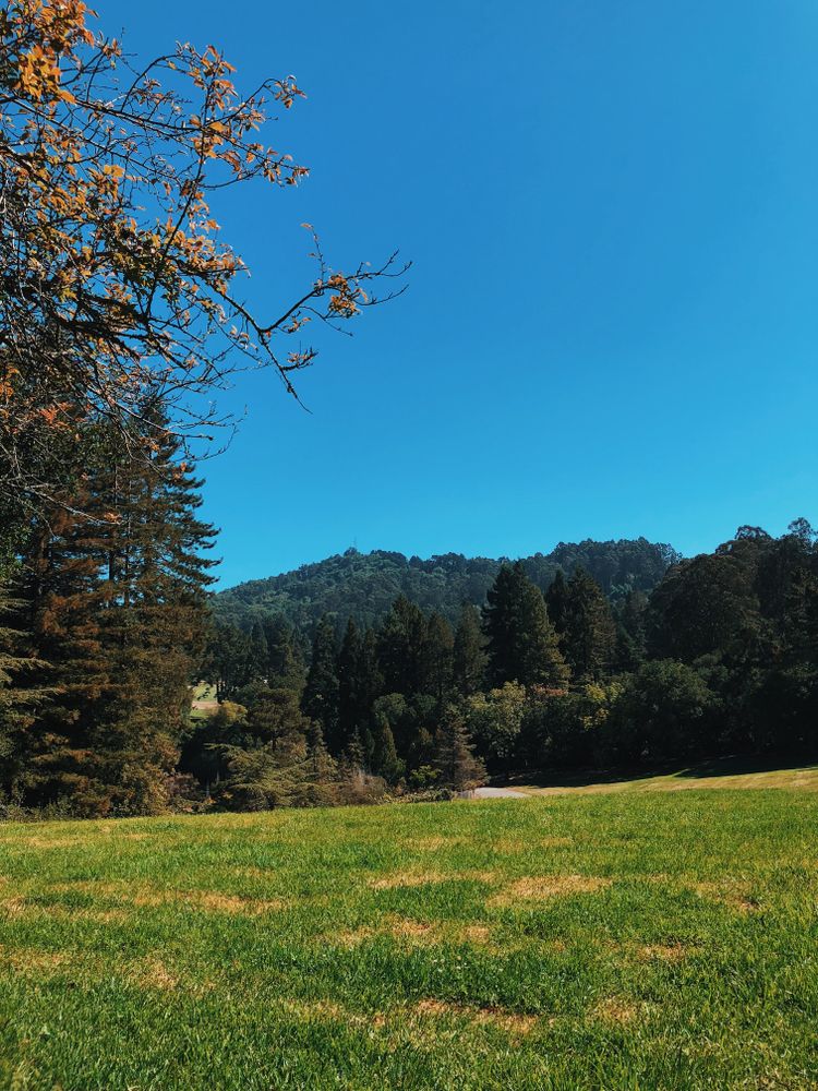 Landscape of Tilden Regional Park